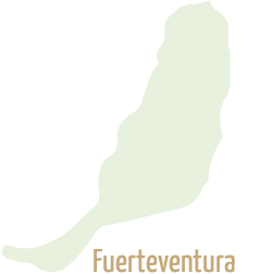 Fuerteventura